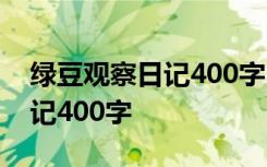 綠豆觀察日記400字 四年級范文 綠豆觀察日記400字
