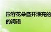 形容花朵盛開(kāi)漂亮的句子唯美 形容花兒美麗的詞語(yǔ)