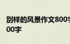 別樣的風(fēng)景作文800字初三 別樣的風(fēng)景作文800字
