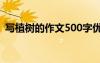 寫植樹的作文500字優(yōu)秀作文 寫植樹的作文