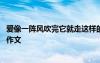 愛像一陣風吹完它就走這樣的節(jié)奏誰都無可奈何 愛像一陣風作文