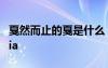 戛然而止的戛是什么 戛然而止的戛讀ga還是jia