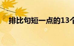 排比句短一點的13個字 排比句 短一點的