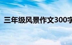 三年級風(fēng)景作文300字秋天 三年級風(fēng)景作文