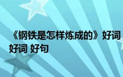 《鋼鐵是怎樣煉成的》好詞 好句摘抄 《鋼鐵是怎樣煉成的》好詞 好句