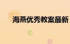 海燕優(yōu)秀教案最新 海燕 教案教學設(shè)計