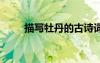描寫牡丹的古詩詞 描寫牡丹古詩詞