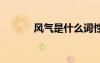 風(fēng)氣是什么詞性 風(fēng)氣詞語解析