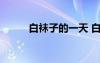 白襪子的一天 白襪子的啟示作文
