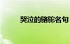 哭泣的駱駝名句 哭泣的駱駝散文