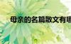 母親的名篇散文有哪些 母親的名篇散文