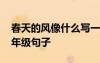 春天的風(fēng)像什么寫(xiě)一段話 春天的風(fēng)像什么二年級(jí)句子
