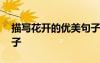 描寫花開的優(yōu)美句子名家 描寫花開的優(yōu)美句子