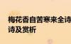 梅花香自苦寒來全詩解析 梅花香自苦寒來全詩及賞析