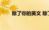 除了你的英文 除了你用英語(yǔ)怎么寫