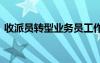 收派員轉(zhuǎn)型業(yè)務(wù)員工作總結(jié) 業(yè)務(wù)員工作總結(jié)