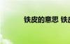 鐵皮的意思 鐵皮的解釋及造句