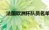 法國歐洲杯隊(duì)員名單（法國歐洲杯名單）