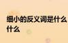 細(xì)小的反義詞是什么 二年級 細(xì)小的反義詞是什么