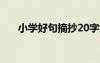 小學好句摘抄20字大全 小學好句摘抄