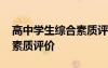 高中學生綜合素質(zhì)評價表模板 高中學生綜合素質(zhì)評價