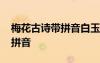 梅花古詩帶拼音白玉堂前一樹梅 梅花古詩帶拼音