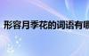 形容月季花的詞語有哪些 形容月季花的詞語