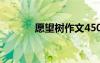 愿望樹作文450字 愿望樹作文