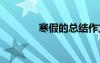 寒假的總結(jié)作文 寒假的總結(jié)