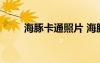 海豚卡通照片 海豚卡通圖片簡筆畫