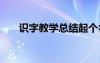 識字教學總結起個名字 識字教學總結
