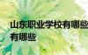 山東職業(yè)學(xué)校有哪些學(xué)校單招 山東職業(yè)學(xué)校有哪些