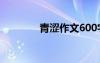 青澀作文600字 青澀的作文