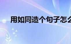 用如同造個(gè)句子怎么造 用如同造句例句