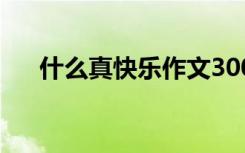 什么真快樂作文300字 快樂作文300字