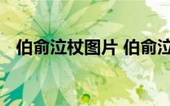 伯俞泣杖圖片 伯俞泣杖的成語(yǔ)故事及解釋