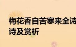 梅花香自苦寒來全詩解析 梅花香自苦寒來全詩及賞析
