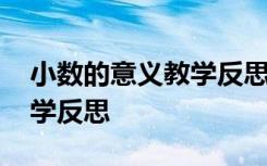 小數(shù)的意義教學(xué)反思成功不足 小數(shù)的意義教學(xué)反思