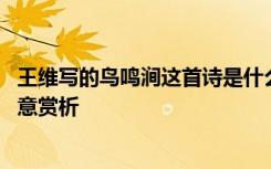 王維寫(xiě)的鳥(niǎo)鳴澗這首詩(shī)是什么意思 王維詩(shī)詞《鳥(niǎo)鳴澗》的詩(shī)意賞析