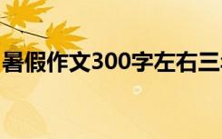 暑假作文300字左右三年級(jí) 暑假里作文300字