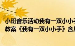 小班音樂活動我有一雙小小手教學(xué)反思 幼兒園小班音樂優(yōu)秀教案《我有一雙小小手》含反思