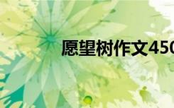 愿望樹作文450字 愿望樹作文