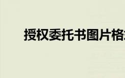 授權(quán)委托書圖片格式 授權(quán)委托書圖片