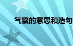 氣囊的意思和造句 氣囊的解釋及造句