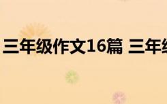 三年級作文16篇 三年級作文 小學(xué)三年級作文