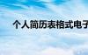 個人簡歷表格式電子版 個人簡歷表格式