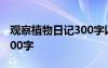 觀察植物日記300字以上 觀察植物日記作文300字