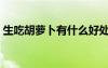 生吃胡蘿卜有什么好處和壞處（生吃胡蘿卜）