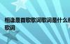 相逢是首歌歌詞歌詞是什么意思 相逢是首歌歌詞相逢是首歌歌詞