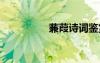 蒹葭詩詞鑒賞 蒹葭賞析